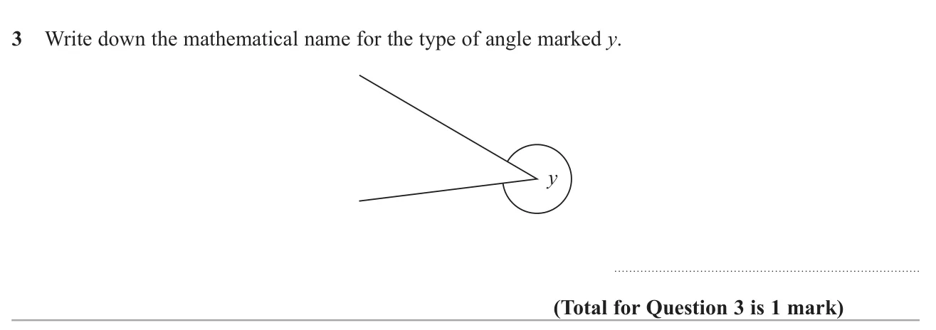 Name the type of angle shown in a diagram.